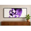 Gibbs Print-1514195462-1514195463