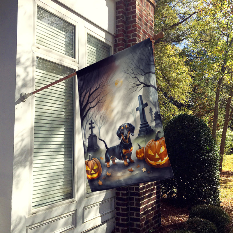 Drapeau de maison d'Halloween en polyester à double face H 40 po x l 28 po