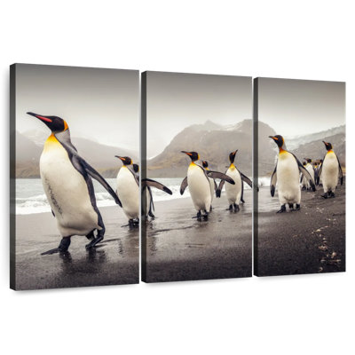 Brampt Penguins Along The Beach