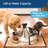 Drinkwell® Stainless Multi-Pet Pet Fountain