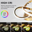  Golden Clover Ceiling Light-1198753507