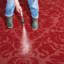 Tapis intérieur / extérieur Arneshia-20793849