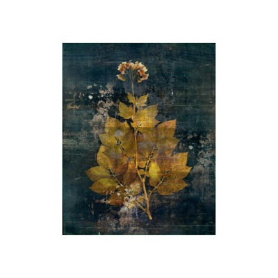 Aroma IV Painting by Zoey Riley