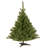 Spruce Christmas Tree-860248363
