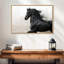 Cheval frison noir-1639501353-1639501352