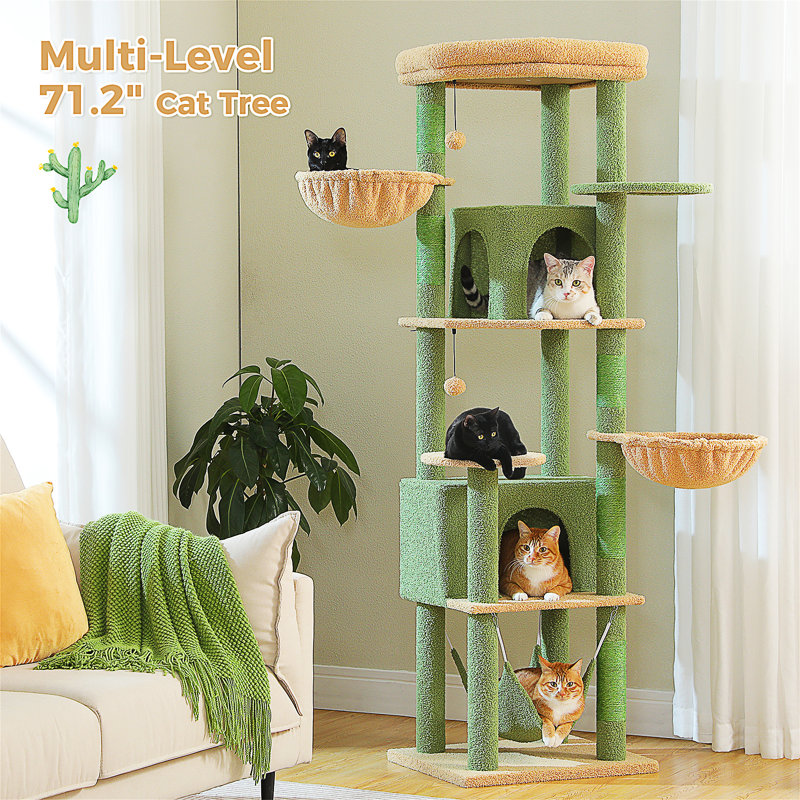 Arbre à chat, Vert
