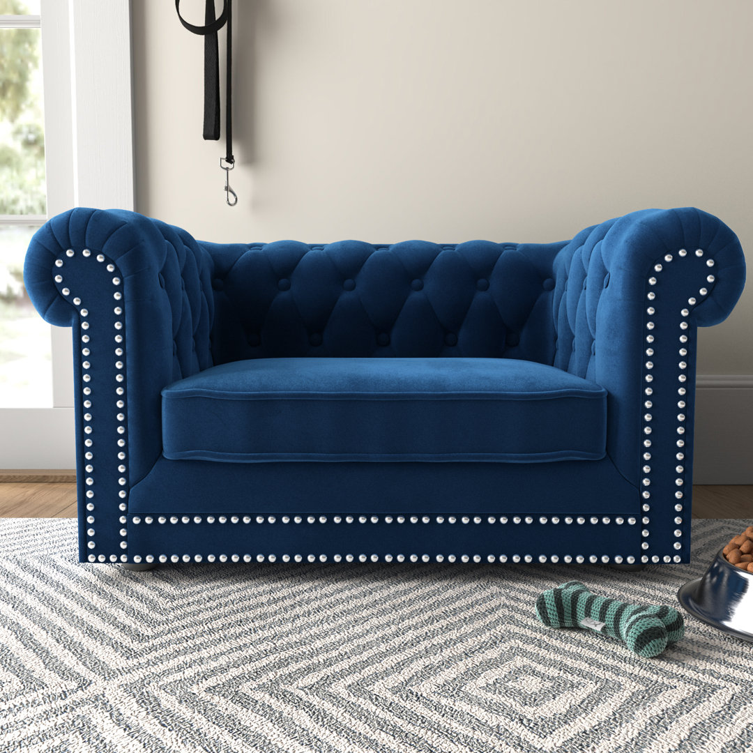 Bria Dog Sofa Etta Avenue™ Color: Navy