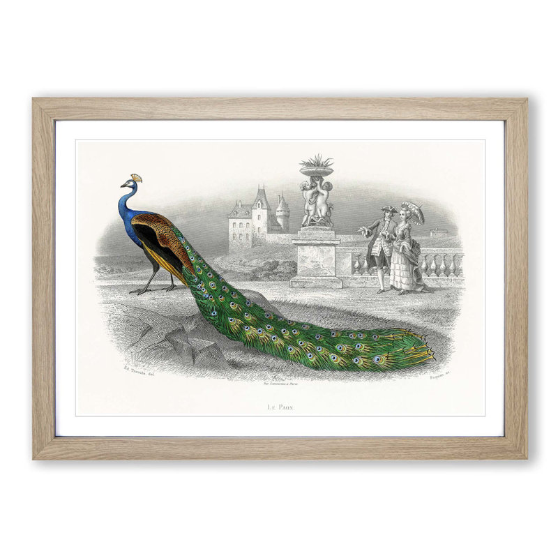 Admiring a Peacock - Picture Frame Painting Print, Oak Framed, 36cm H x 48cm W x 2cm D