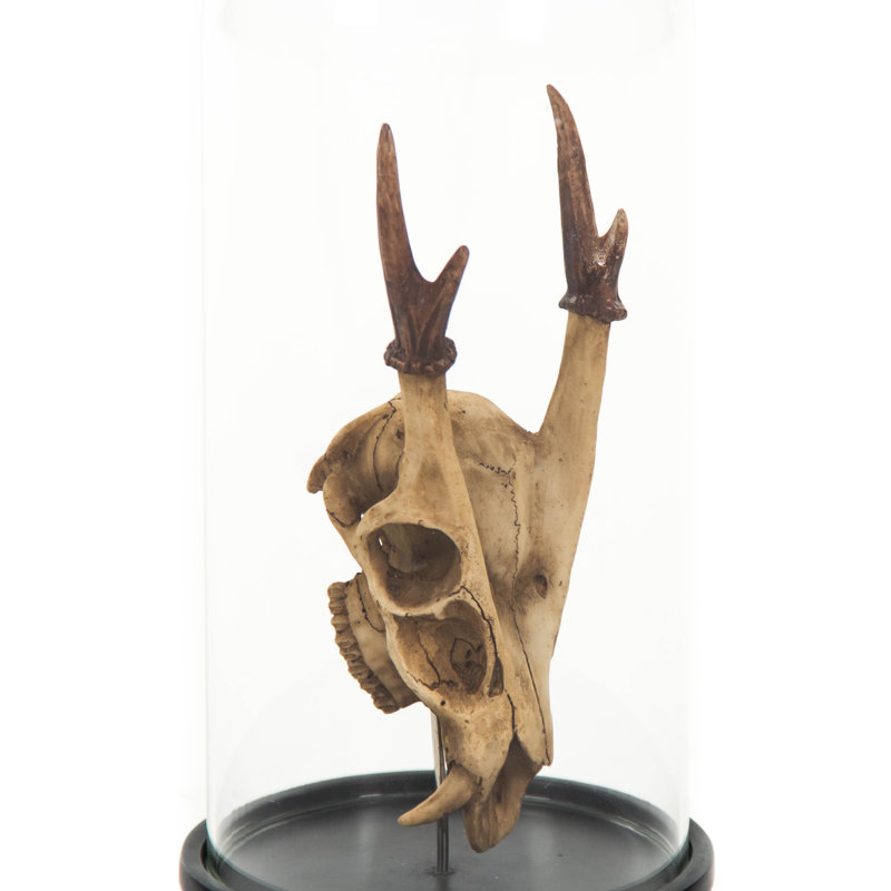 Deer Skull with Bel Glass Sculpture, 23" H x 5.5" W x 5.5" D