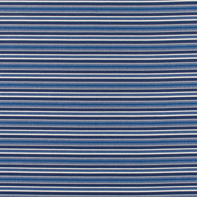 Elements Steps Beach Fabric