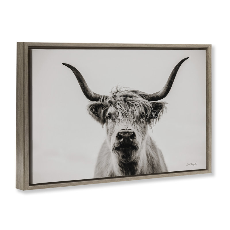 Calm bovins, toile par Dakota Diener, Cadre flottant orme Montalcino, H 21 po x l 31 po x P 1,7 po