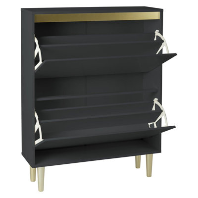 Iliana 2 Door Shoe Cabinet