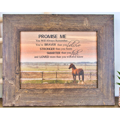 " Promise Me Brown Horse "