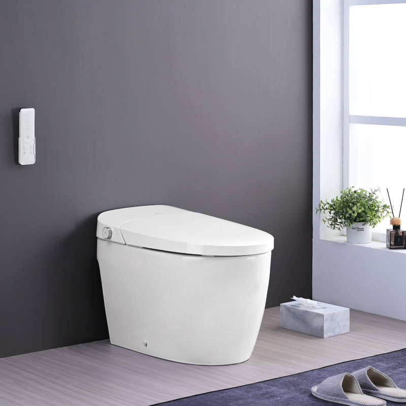 Combinaison de bidet de toilette intelligente avec couvercle / siège ouvert avec capteur de pied, affichage à DEL, buse autonettoyante, siège chauffant, veilleuse, commande à bouton, chasse d'eau en cas de panne de courant, fermeture en douceur, chass