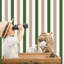 Kids and Teens Collection 2-Tone Awning Stripe Wallpaper Roll-424371087