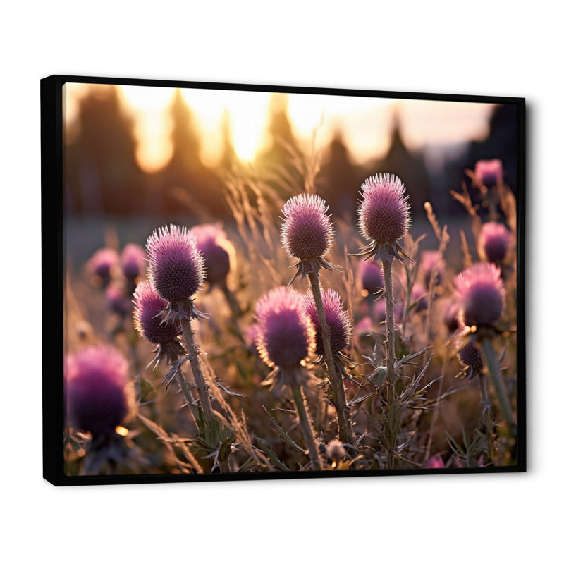 Mauve, vert, chardon, chuchotement, plante, II, Cadre flottant noir, H 30 po x l 40 po x P 1,5 po