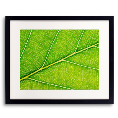 Autumn Leaf Print by Philippe Monthoux