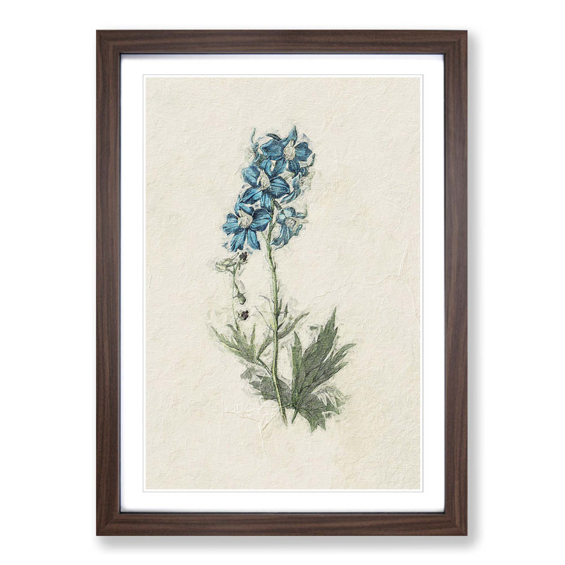 Illustration of Blue Wildflowers - Picture Frame Painting Print, 36cm H x 27cm W x 2cm D, Walnut Framed