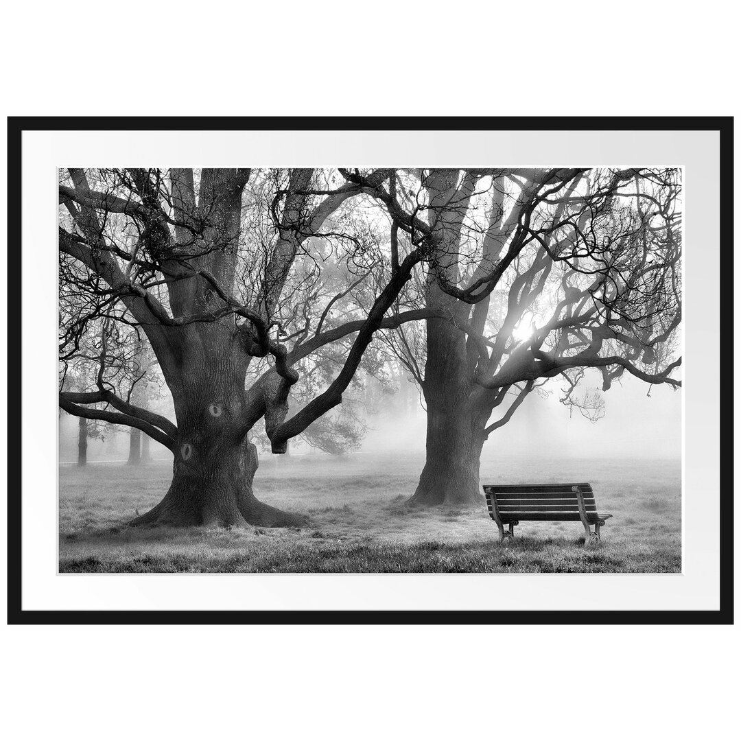 Gerahmtes Poster Baum und Bank im Nebel