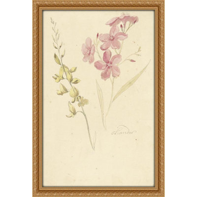 Oleander en brem (1677 - 1755)