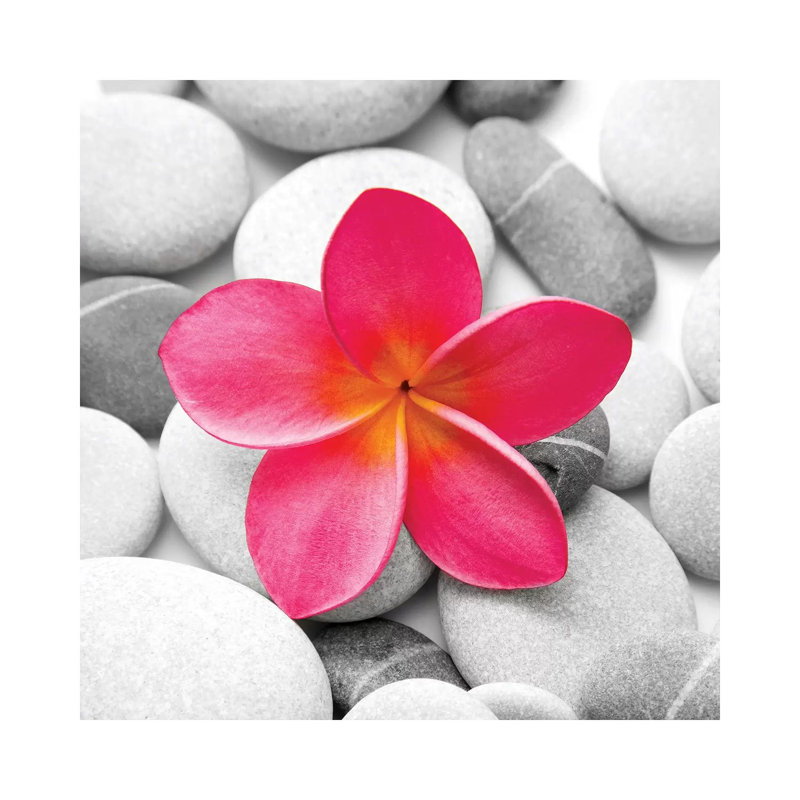 Zen Flower by PhotoINC Studio - Print on Canvas, Wrapped Canvas, 30.48 cm H x 30.48 cm W