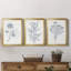 Indigo Botany Study IV - Ensemble de 3 peintures sur toile encadrées-1171059435-1171059430