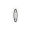 Elliptical Rustic Accent Mirror-48423070