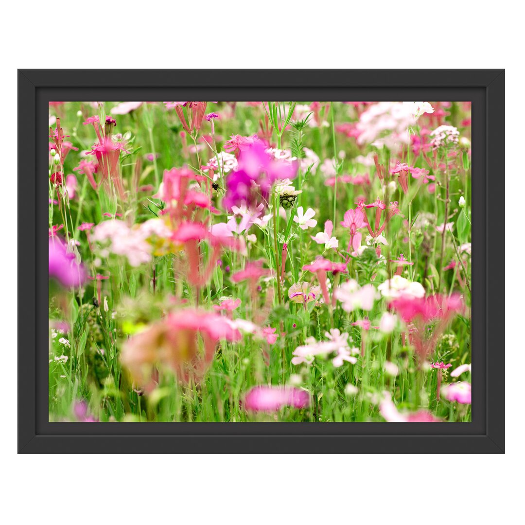 Gerahmtes Wandbild Wundervolle Blumenwiese