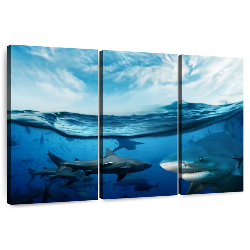 Brampt frisson de requins soleil, H 42 po x l 65 po