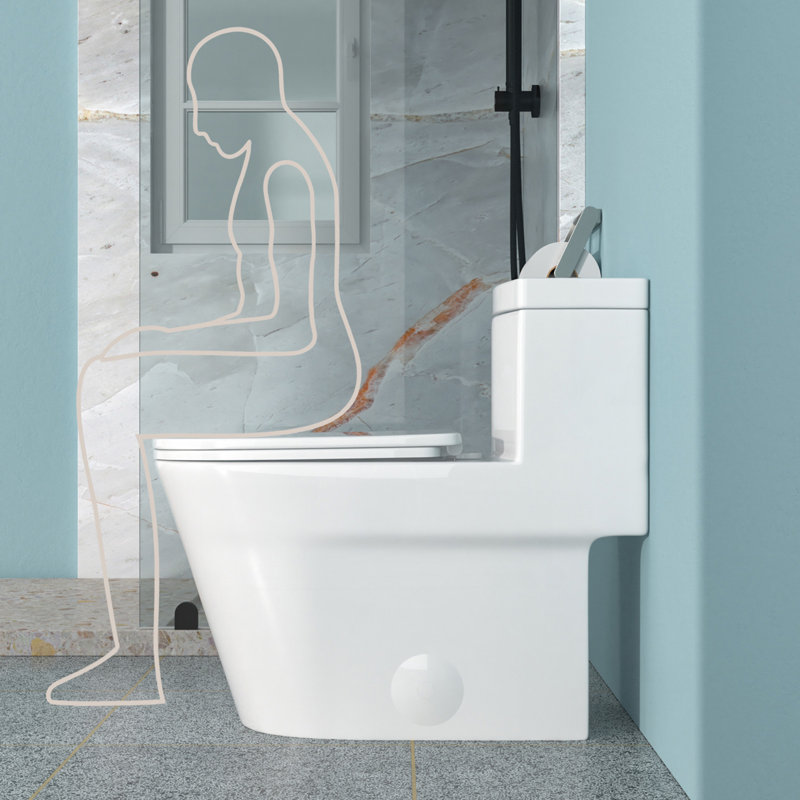 Toilette monobloc en céramique pour la salle de bain, 12 pouces, 1,24 / 1,43 GPF, double chasse avec siège à fermeture en douceur, double chasse puissante CARTE 800G