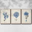 Corail antique en bleu marine, ensemble de 3 pièces encadrées sur toile-97760005-97760007