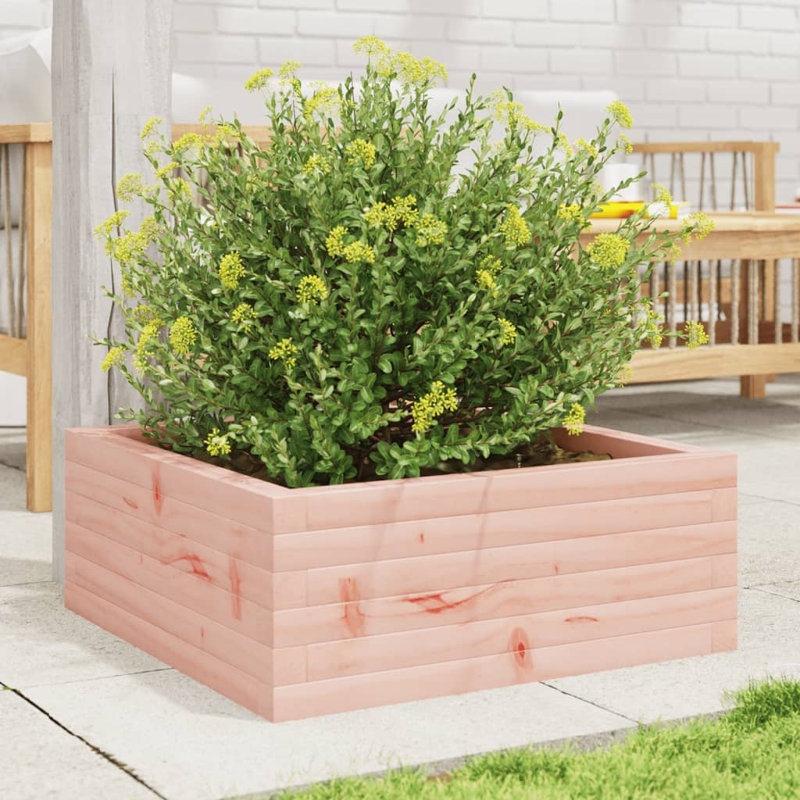Amiela Planter Box, 23cm H x 60cm W x 60cm D, Douglas