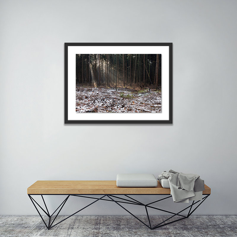 Tree Debris Print by Jakob Wagner, Black, 29" H x 40" W x 2.5" D