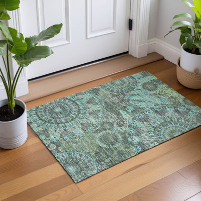Machine Washable Indoor/Outdoor Norrell ACN2335 Paisley Rug
