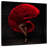 Enn Spanish Dancer Legs-109393634