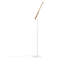 Type A LED Task Floor Lamp-61733796-61733797