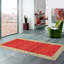 Oriental Area Rug