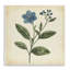 Plaque murale rétro «Blue Blossoms Wildflower» par Petal Prints Design