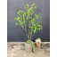 Faux arbre artificiel japonais Enkianthus-967423161
