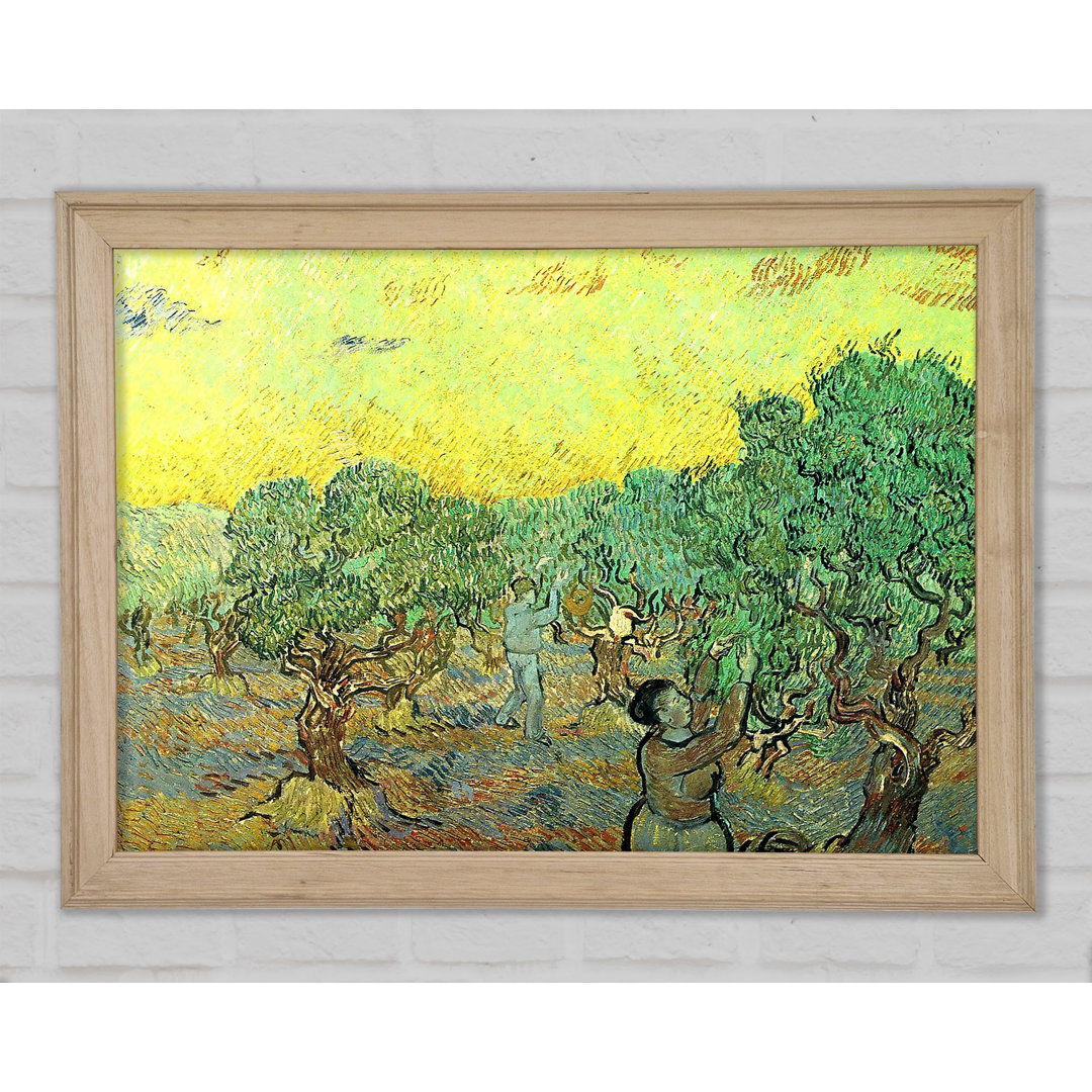 Van Gogh Olivenpflücker in einem Hain - Einzelner Bilderrahmen Kunstdrucke