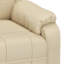 Jasana Manual Recliner-1748979190