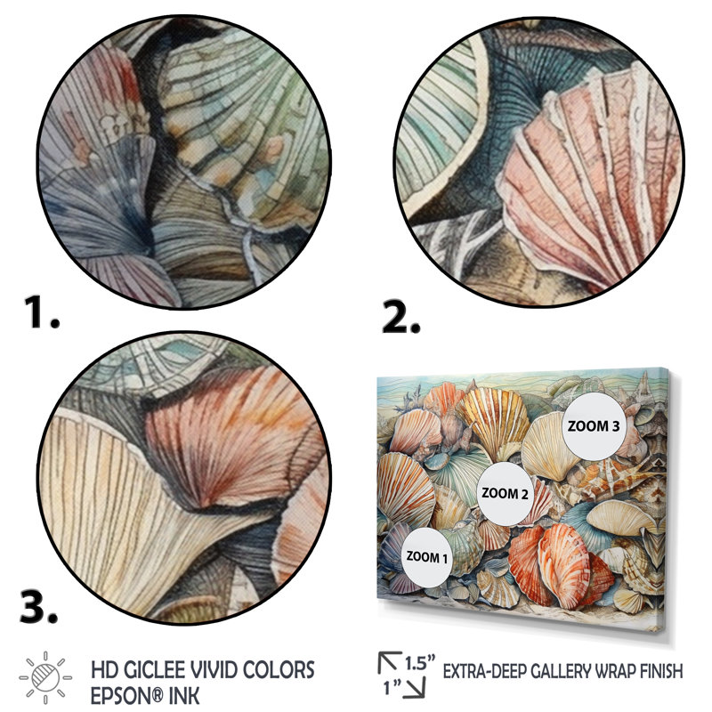 Seaside Seashells IV sur toile, H 12 po x l 20 po x P 1 po, Toile tendue