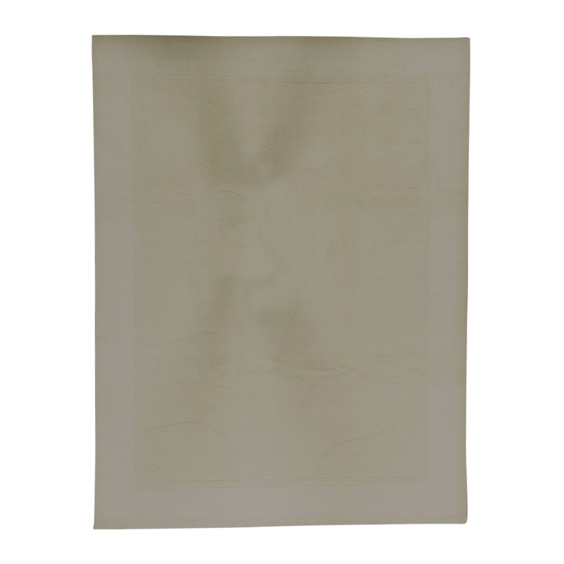 Tapis de haute qualité noué à la main