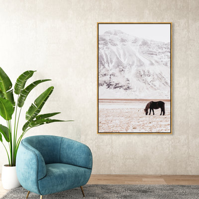 " Wild Mountain Horse "
