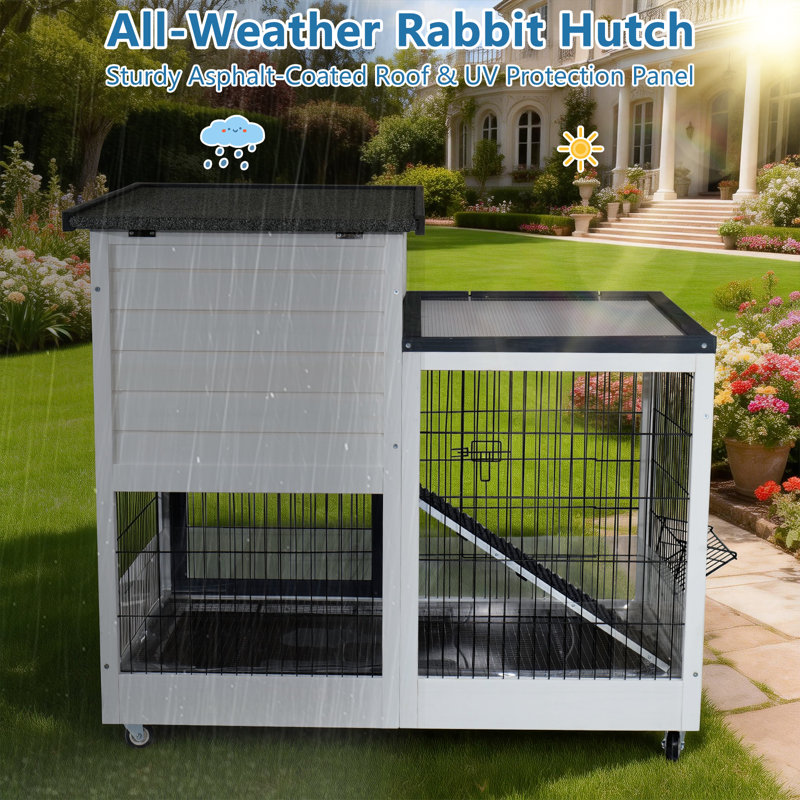 Cage à lapin résistante aux intempéries Rockport