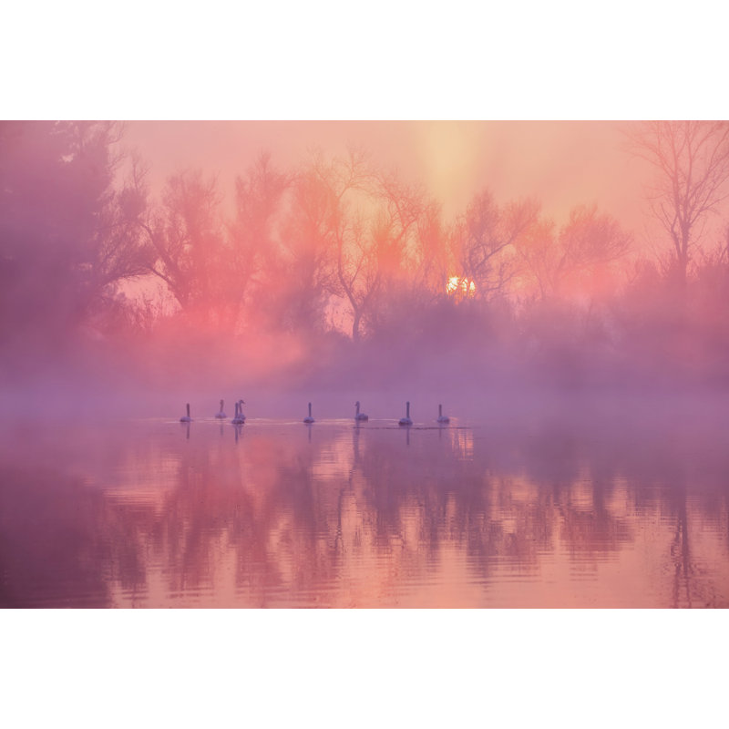 Wrapped Canvas Print, 50.8 cm H x 76.2 cm W
