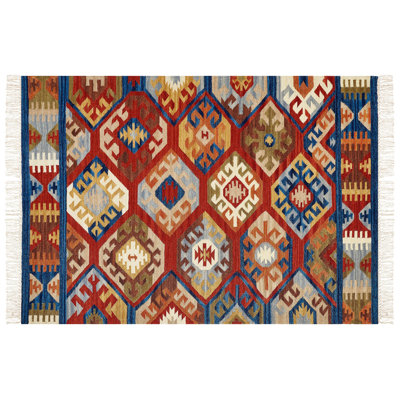 Biagi Southwestern Wool Hand Woven Area Rug