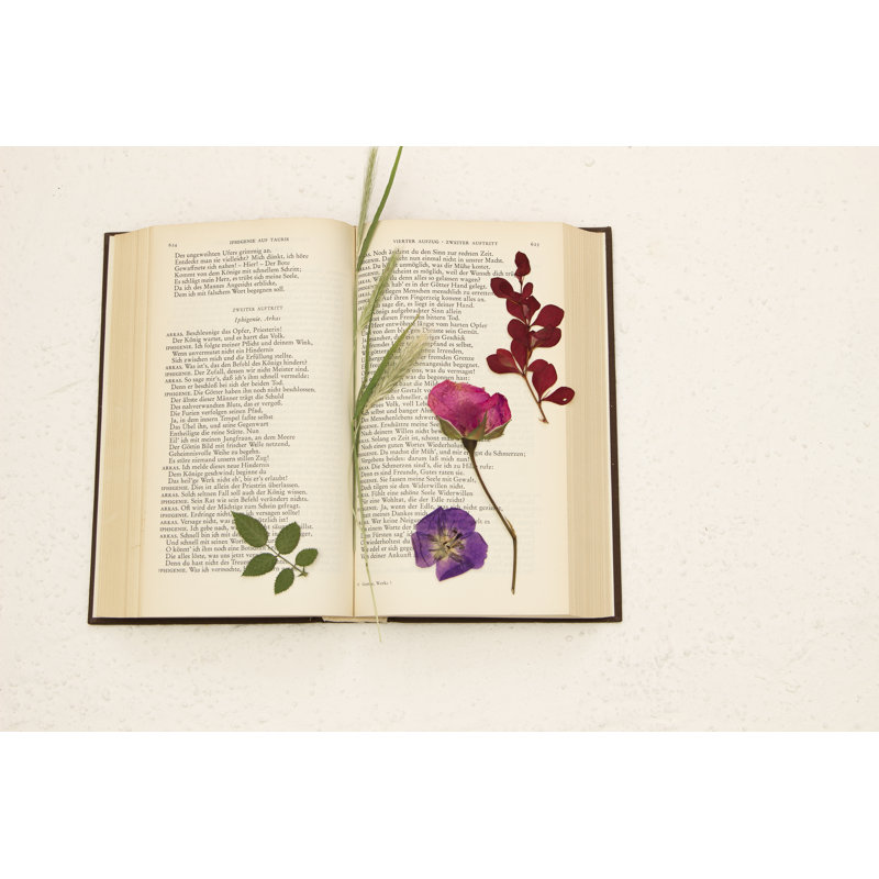 pressed flowers in an old book 1 Piece Wrapped Canvas Wall Art, 51cm H x 76cm W