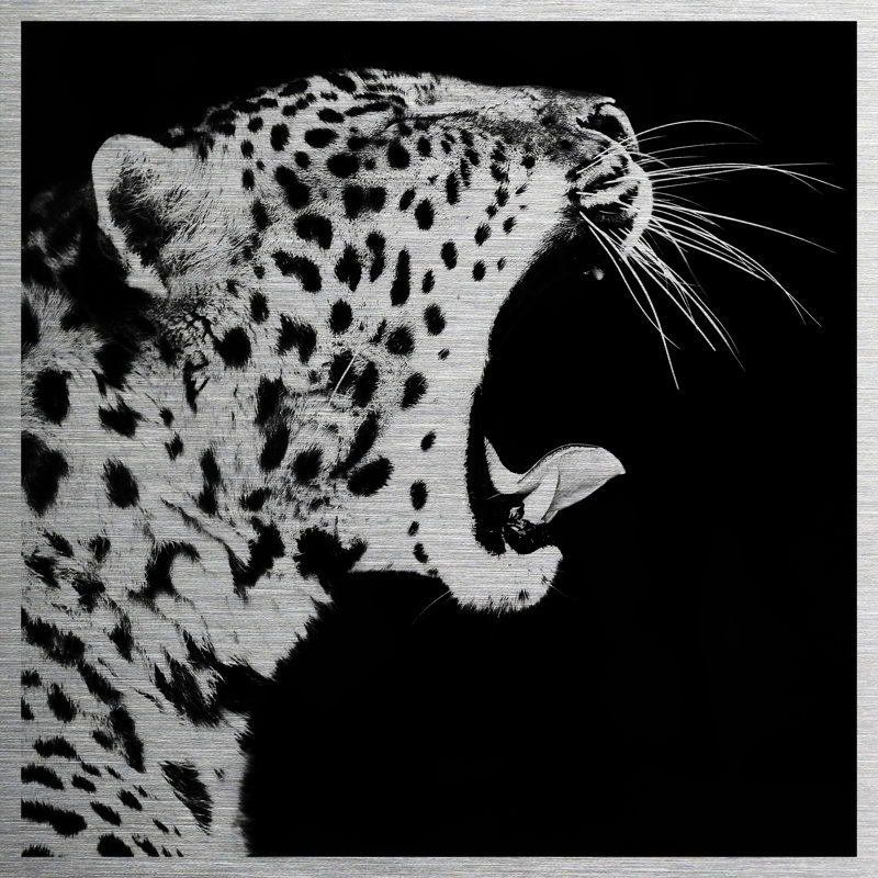 Cheetah - No Frame Print on Metal