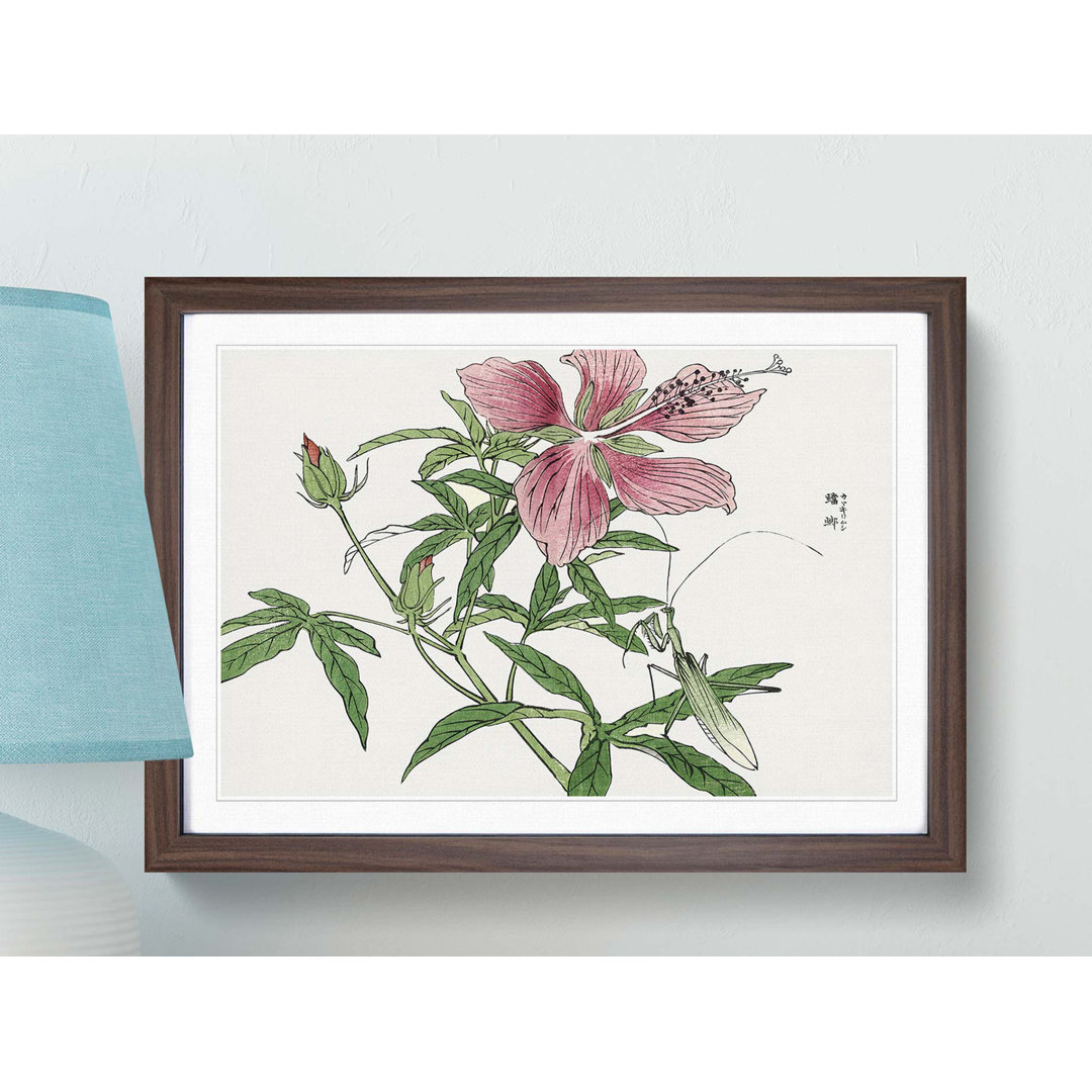 Praying Mantis & Pink Flower by Morimoto Toko - Framed Print